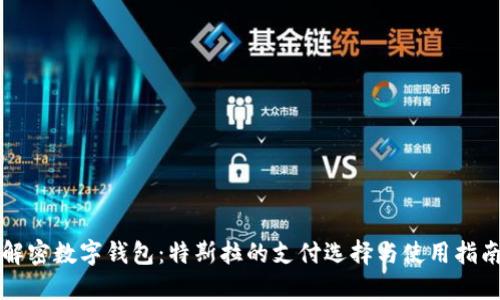 解密数字钱包：特斯拉的支付选择与使用指南
