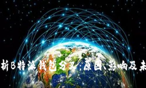 全面解析B特派钱包分叉：原因、影响及未来展望