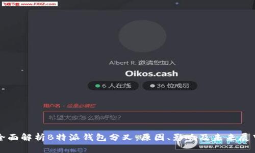 全面解析B特派钱包分叉：原因、影响及未来展望