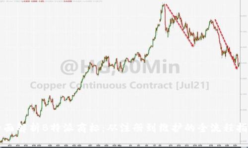 全面解析B特派商标：从注册到维护的全流程指南