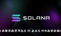 全面解析数字钱包支付：