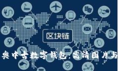 : 探索迪奥中古数字钱包：