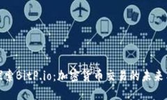深入探索BitP.io：加密货币