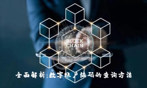 全面解析：数字账户编码的查询方法