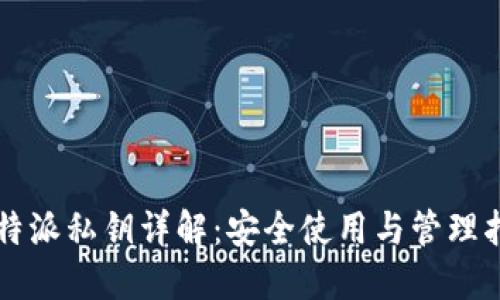 比特派私钥详解：安全使用与管理指南